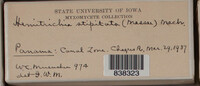 Image Associated With the Occurence